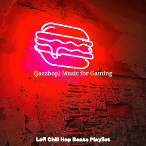 Stylish Lo-Fi - Vibe for Streaming