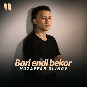 Bari endi bekor
