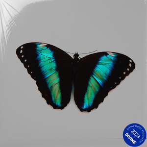 "蝴蝶效应" NF X Eminem Type Beat