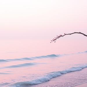 桜ビーチで君とスキップ (Ver. 2)