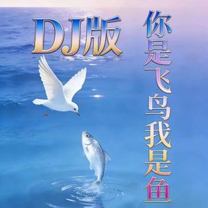 你是海鸟我是鱼