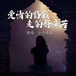 爱情的路我走的好辛苦