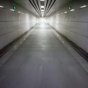 全世界知道的爱意（Prod.by Lisure ）