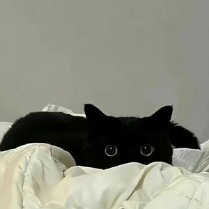 永不失联的爱（cover：周兴哲）.wav