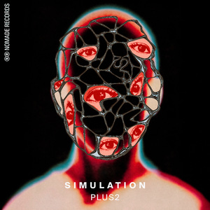 Simulation