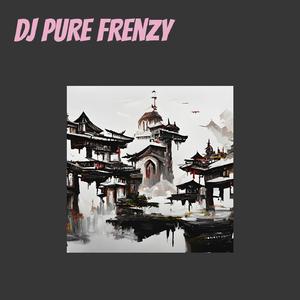 Dj Pure Frenzy