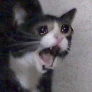 恋爱サーキュレーション（恋爱循环）（翻自 神前暁）