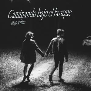 Caminando Bajo El Bosque