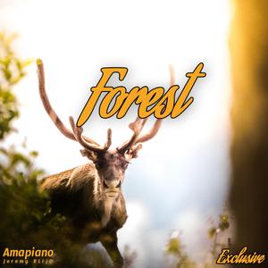 Forest (Radio Edit)