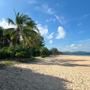 Плафонин: pt. 2