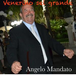Venerino sei grande