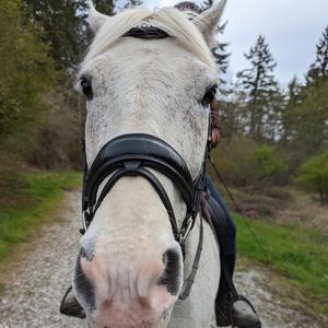 It's so hard to keep a white horse clean (Slow edition)