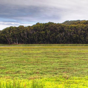 老婆和老妈在吵架
