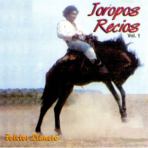 Ei Gato de Mi Vecina