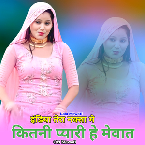 इंडिया तेरा नक्सा मे कितनी प्यारी हे मेवात ओल्ड मेवाती