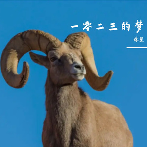 微风吹来的梦想