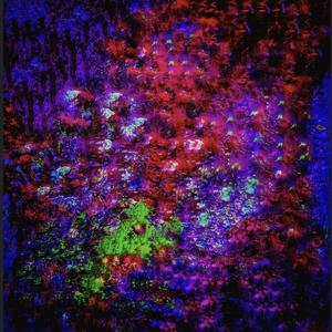 IπtεrGλlλctic Lλπgυλgε