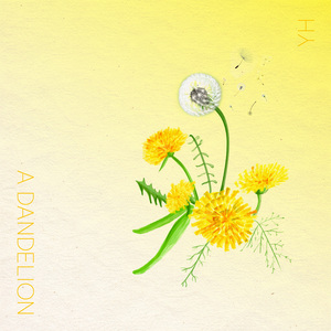 사랑으로 남길게요 (A Dandelion) [Instrumental]