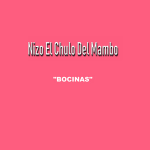 Bocinas