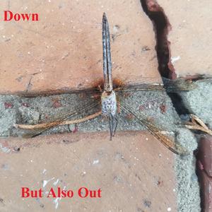 It Doesn't Get Better