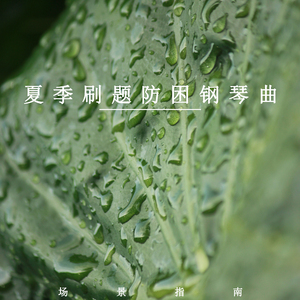 夏天的龙猫之谷 (放松纯音乐)