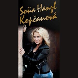 Stojí to v snári (cover)