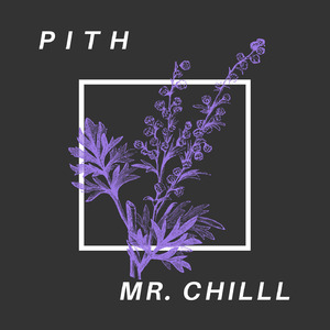 Pith