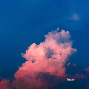 I Miss Me