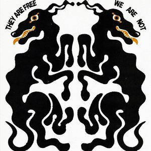 深夜路灯的罩映下仰望夜空，星光闪烁