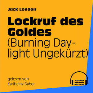 Zweiter Teil, Kapitel 19: Lockruf des Goldes (Teil 8)