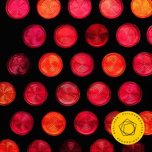 Concerto for Cello and Orchestra No. 2 in D Major, Hob. VIIb:2: III. Allegro