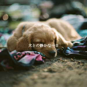 Thrilling Ambiance for Feel Good February