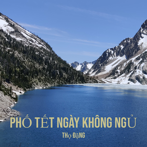 Phố Tết Ngày Không Ngủ