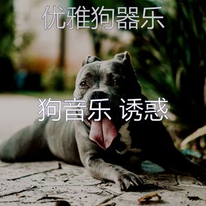 有趣训练犬情怀