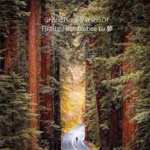 Grand Piano Version Of Flighting Bumblebee by 夢