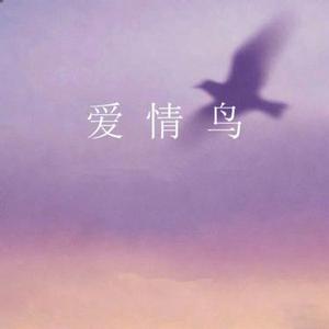 爱情鸟  (R&B微醺版) (Cover 林依轮)