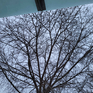 Winter Solstice Rehearsal 2: 24/12/02