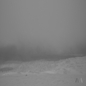 애원 (Feat. 박다울)