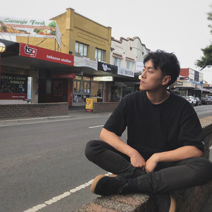 孤鸟的歌（翻自 墙角先生）