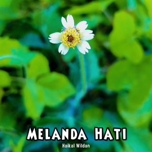 Melanda Hati