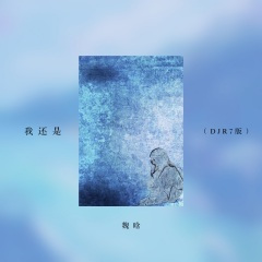 我还是 (DJ R7版)