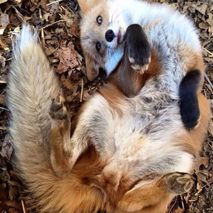 Ooh My Love (slowed)