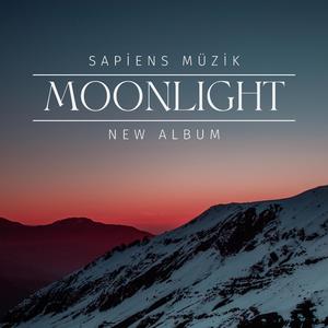 Symphony No. 5 (Movement 1)