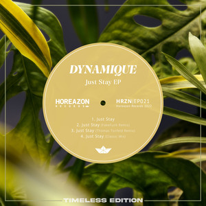 Just Stay (Thomas Tonfeld Remix)
