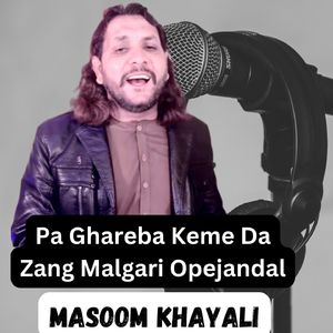 Pa Ghareba Keme Da Zang Malgari Opejandal