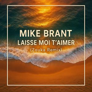 Laisse moi t'aimer (Zouka Remix)