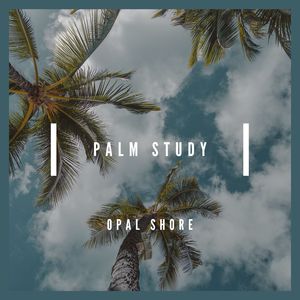 Morning in Terracotta