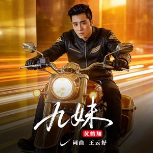 九妹（30周年DJ墨涵版）