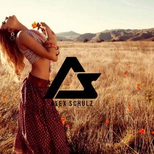 What you need (Original)