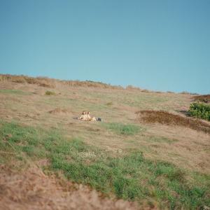Dayside